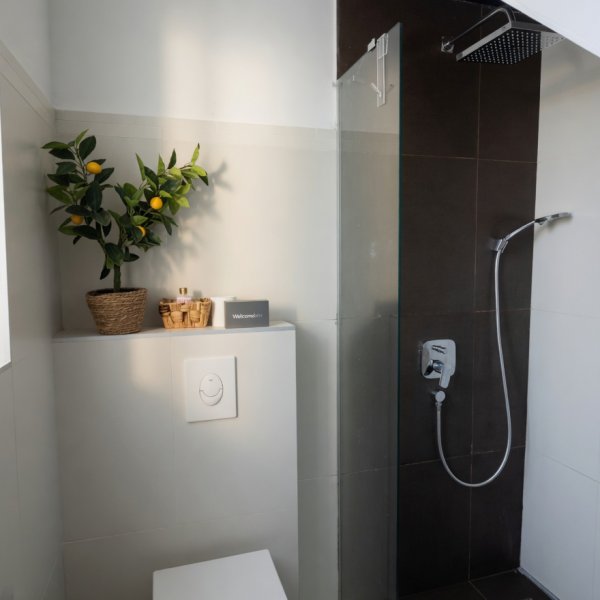 Kupaonica / wc, BASIC MANSION ( Apartmani &Scaron;ibenik ), Basic Mansion s bazenom, &Scaron;ibenik, Dalmacija &Scaron;ibenik