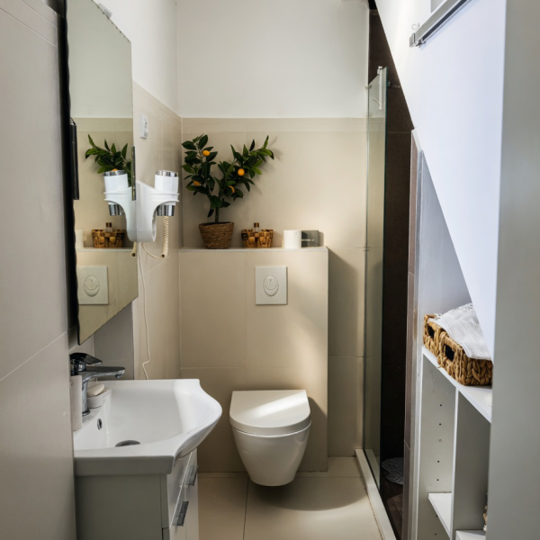 Kupaonica / wc, BASIC MANSION ( Apartmani &Scaron;ibenik ), Basic Mansion s bazenom, &Scaron;ibenik, Dalmacija &Scaron;ibenik